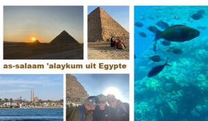 Postcard Egypte