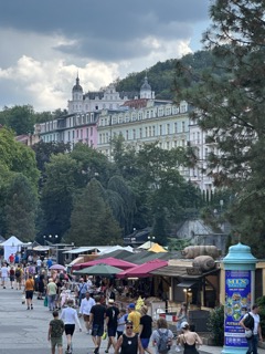 Karlovy